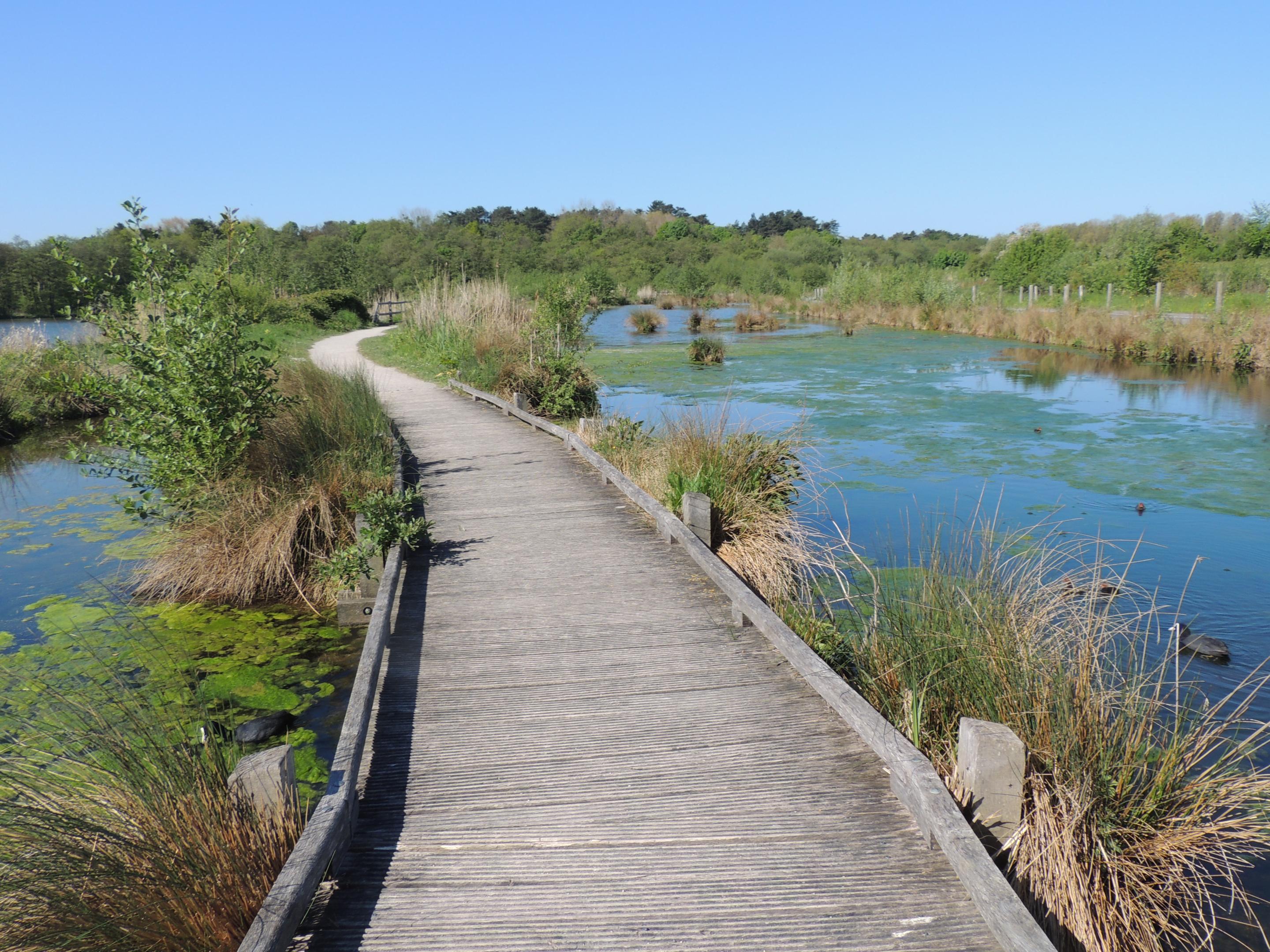 Réserve Naturelle Régionale du marais de Condette Château d'Hardelot